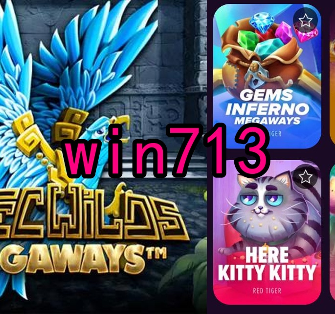 win713.com